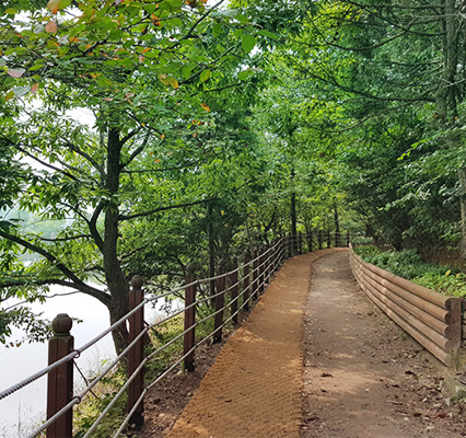 양을산 산림욕장 산책길 전경