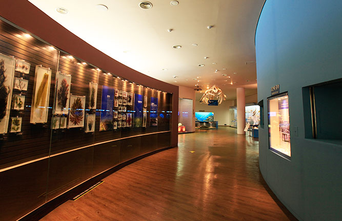 Mokpo Natural History Museum