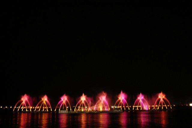 DSC02217.jpg